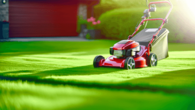 Turf Care